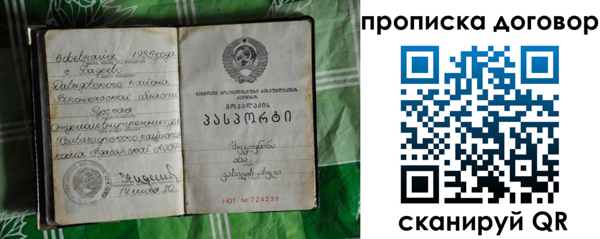 прописка в Сосновке